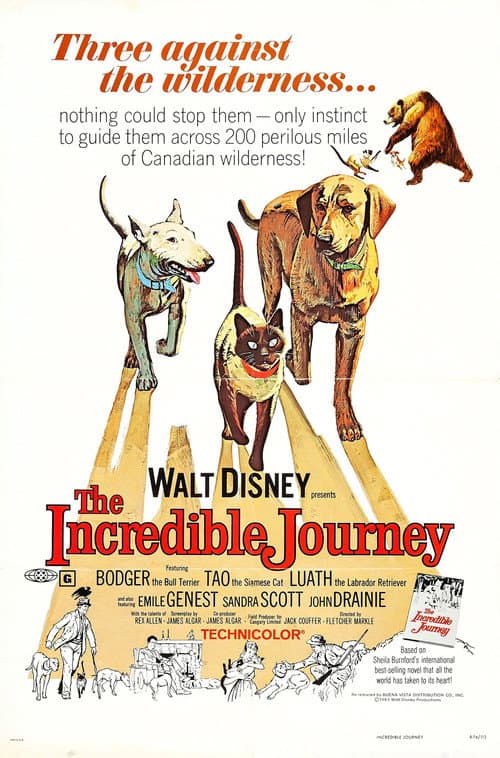 The Incredible Journey still 7